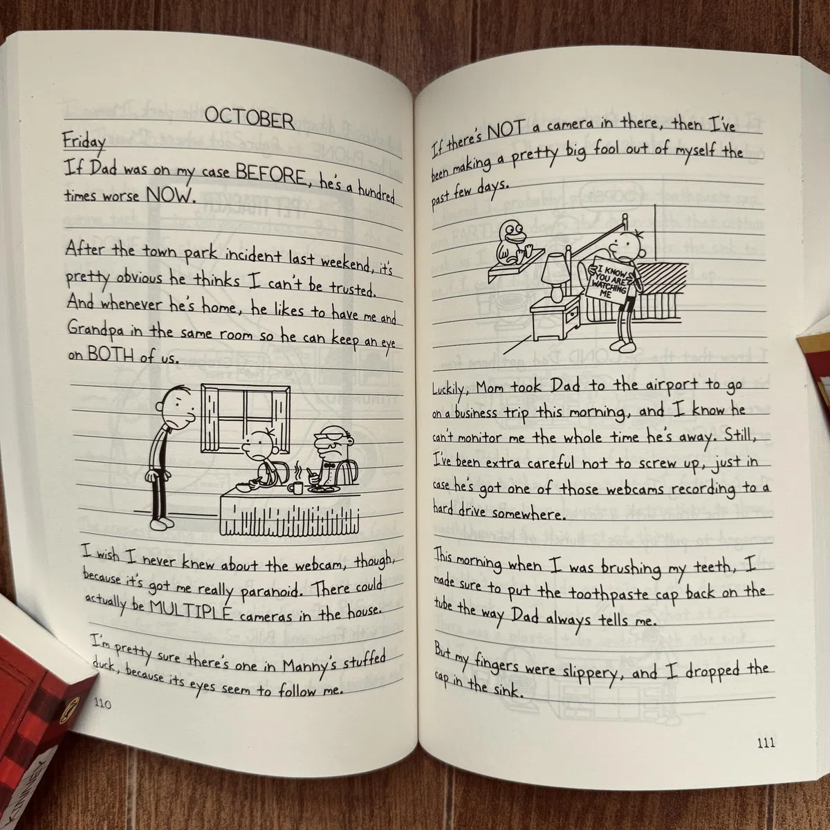 Hunnee Diary of a Wimpy Kid 1-22 Boxed Set für Kinder, 22 Bücher Komplette Sammlung Serie, Taschenbuch-Ausgabe für Kinder