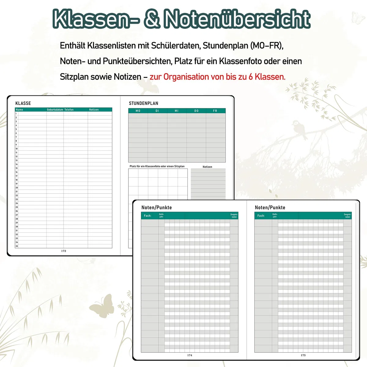 ZXHQ Lehrerkalender 2026–2027 A5+, Lehrerplaner/Wochenplaner für Lehrer und Schule, Hardcover, 208 Seiten, Farbig Gestaltete Innenseiten & Monatsregister, Mit Innentasche, 16,5 x 22 cm, Salbeigrau